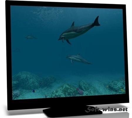 crack dolphins 3d screensaver