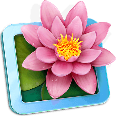 LilyView 1.2.1