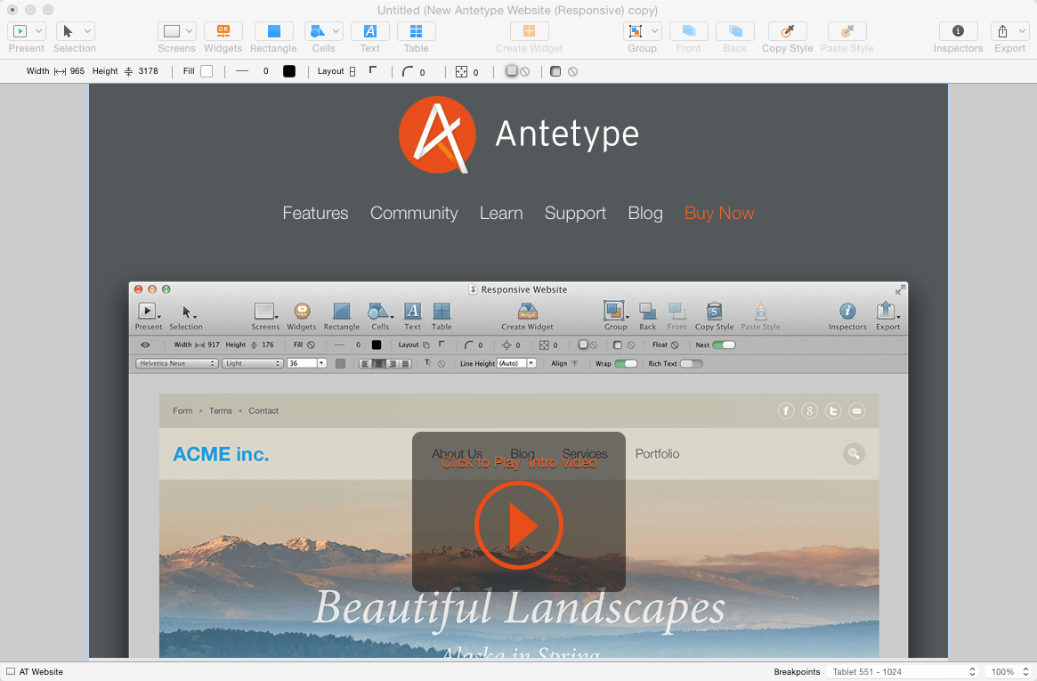 Antetype 1.3.0 Download