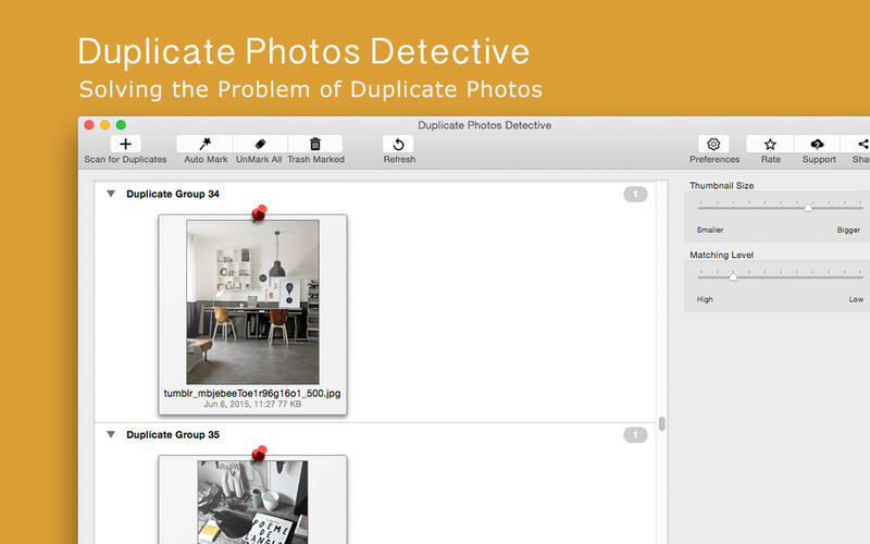 duplicate detective regular expression