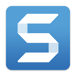 TechSmith Snagit 2024.2.2