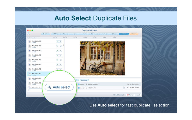 Duplicate File Finder Professional 2023.14 for iphone download