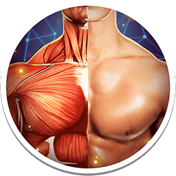 Human Anatomy 3D Pro - Bones And Muscles 4.0.0