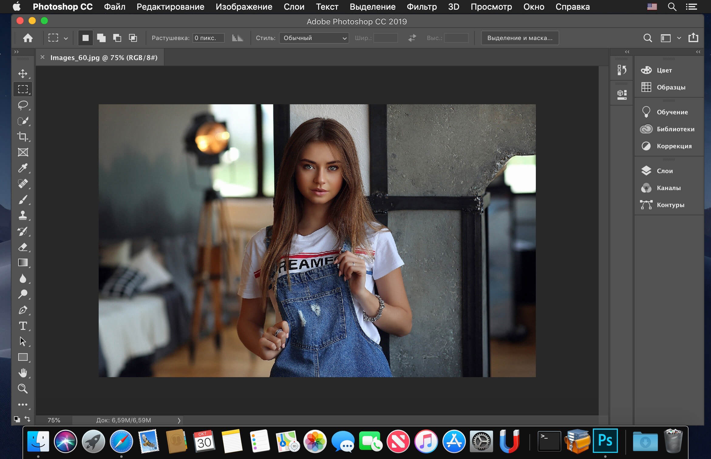 photoshop 2019 for mac torrent